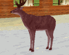 Px Animated deer