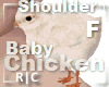 R|C Baby Chick Cozy F