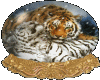Animated Tiger 27