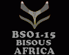 AFRICA - BISOUS