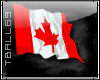 canada flag sticker