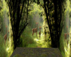 Deer Forrest Background
