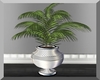 Silver Vase & Plant