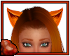 *C Kitty Ears Orange