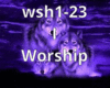 I Worship (Country)