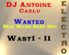 DJ Antoine - Wasted