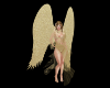 Angel Dorado Celestial