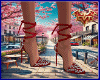 Salto Red Wizard/CVT