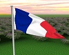 France Flag Animated