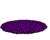 Purple Blk Fur Rug