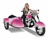 Harley Bike Sidecar