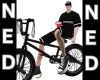 !Ned Tambay