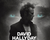 D HALLYDAY-LENVIE