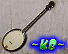 ~KB~ Country Banjo Decor