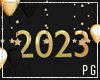 2023 New Year