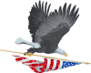 Eagle With Flag