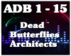 Dead Butterflies-Archite