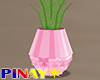 Pineapple Planter - P