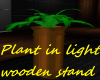 Plant stand in wood