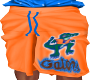 flordia gators shorts