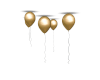 ND| Gold Ceiling Balloon