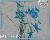 Plant Blue 3a Ⓚ