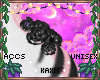ꨄBlossom Rosesꨄ