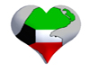 q8 heart modicone