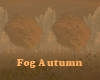 Fog Autumn