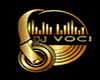 dj voices