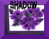 Shadow's Purple Flowers