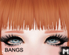 M' Bangs Ginger II