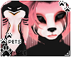 [Pets] Cass Furry | Male Abless