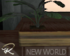 New World Plant Table