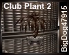 [BD] Club Plant 2
