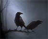 Raven in fog poster