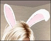 White w Pink Bunny Ears