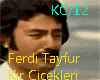 F.Tayfur-Kır Çiçekele