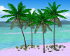 Group Coconut Trees