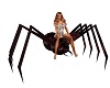 bc's Spooky Spider Chair