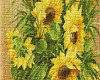 (R)Sunflower pic..