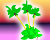 Dev. Palm Trees Trio