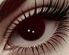 Eyes