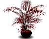 Blk/red animated plant