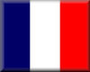 French Flag/Button