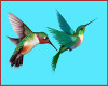 Hummingbirds IIIII encha