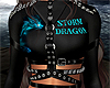 Storm Dragon Armor F