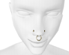 Nose Piercings DRV
