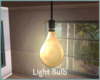 *Light Bulb