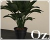 [Oz] - Plant no light